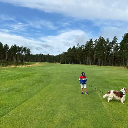 Loma-aika * ווירומאקי